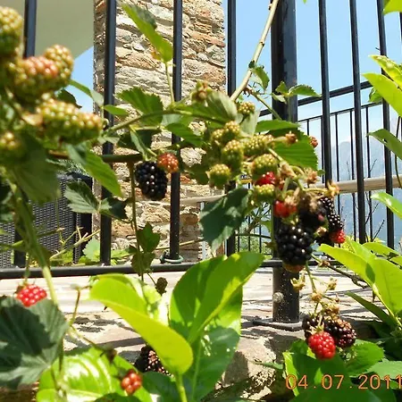 Cacrusca Holiday home *